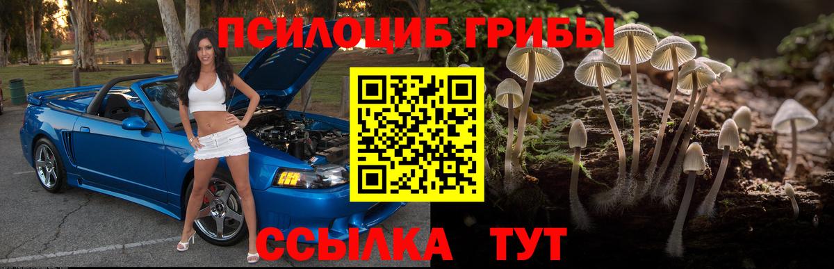 Галлюциногенные грибы Cubensis Владикавказ